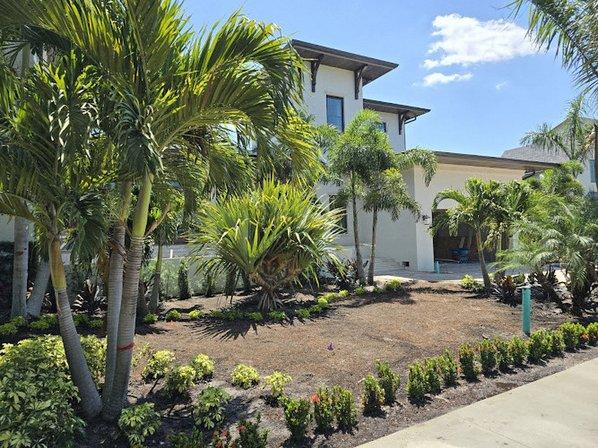 Landscaping Tune-Ups