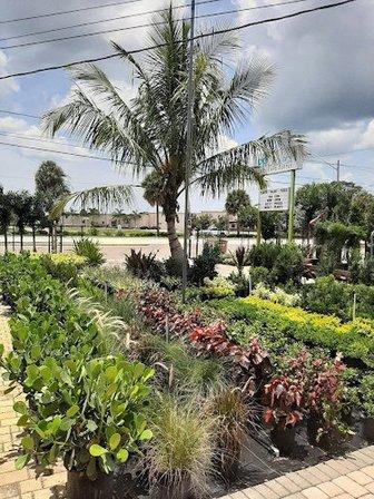 Mullens Plants & Palms