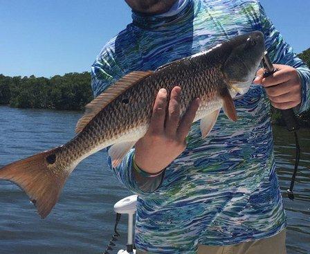 Inspired Fishing Charters In St.Petersburg, Florida