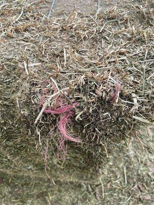 Schiro's Hay and Feed