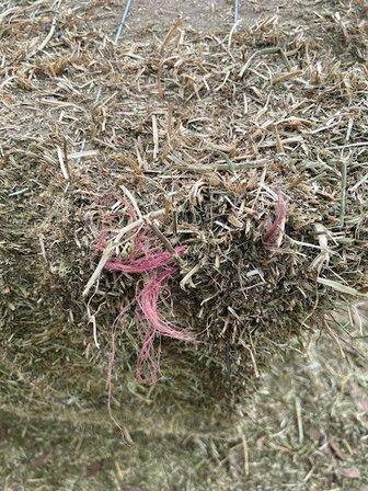 Schiro's Hay and Feed