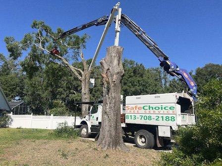Safe Choice Tree Service