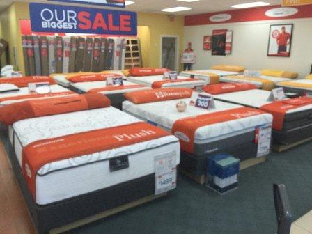 Mattress Firm Tampa University
