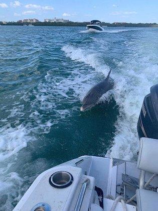 Island Fun Charters LLC