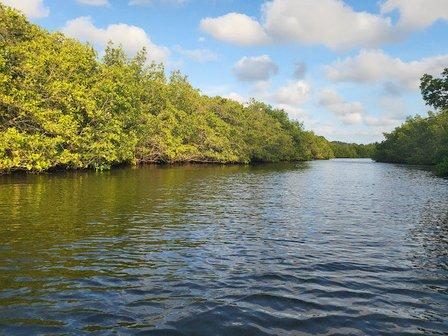 Cross Bayou Kayak Launch