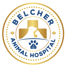 Belcher Animal Hospital
