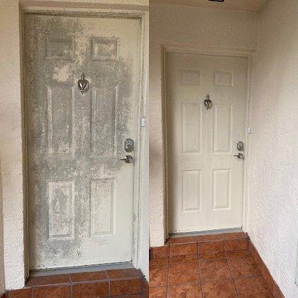 Tampa's Pressure Washing Services