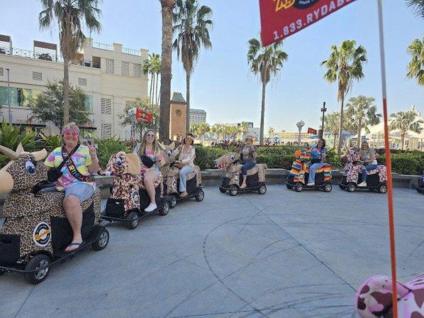Tampa Rydables