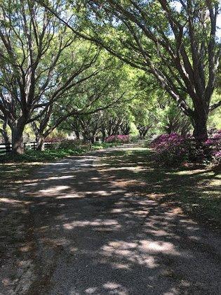 Florida Gardens & Landscaping