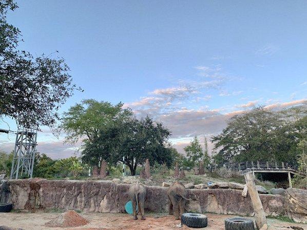 Elephant Habitat