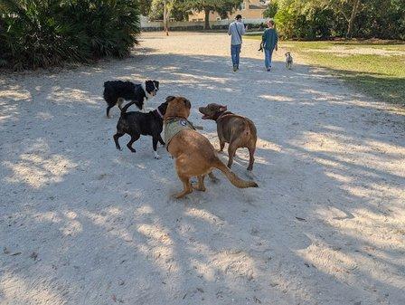 Enterprise Dog Park
