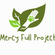 Mercy Full Project