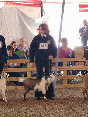 Heartland Large Animal Services