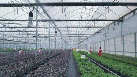 Oasisclimatic U.S. by Tecnocooling Misting Systems