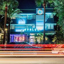Avalon Hotel St. Petersburg / Downtown