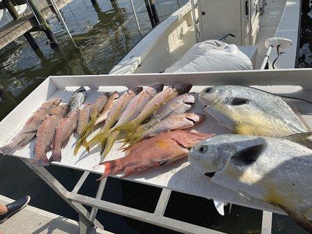 Bueno Fishing