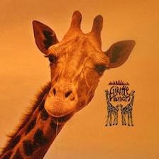 Giraffe Ranch