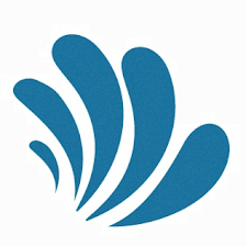 Tampa Bay Hand Center
