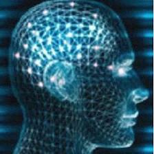 Behavioral Neuropsychology & Rehabilitation