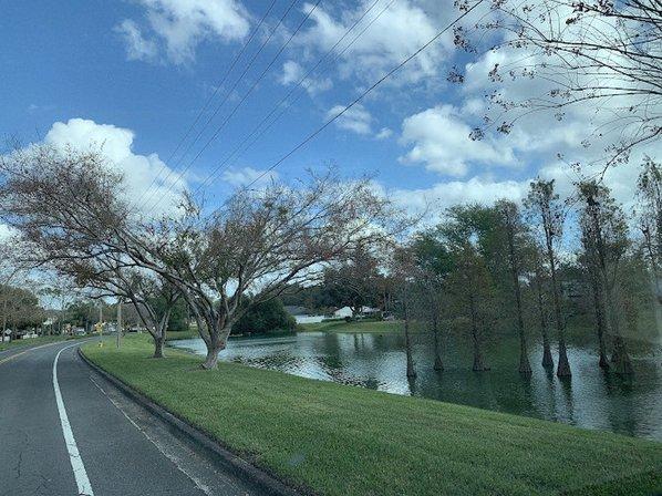 The Sterling Ranch Cypress Tree Bird Sanctuary.