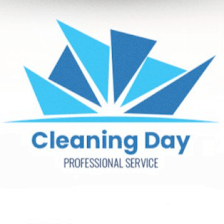 Cleaning Day Professional Service