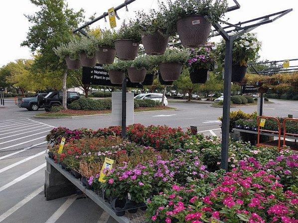 Garden Center at The Home Depot