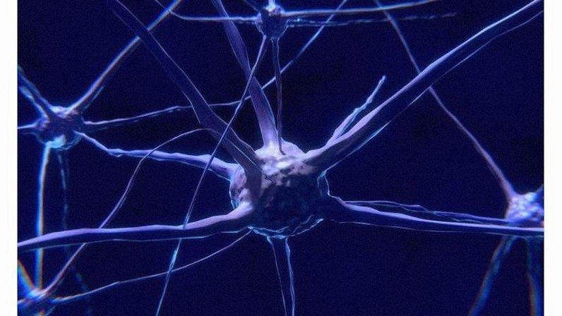 Behavioral Neuropsychology & Rehabilitation