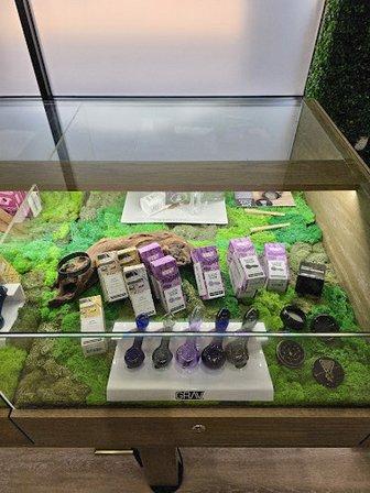 Sanctuary Cannabis St. Petersburg Dispensary