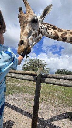Giraffe Ranch