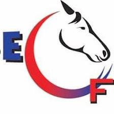 Horse Force