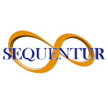 Sequentur | Managed IT Services in Tampa, FL