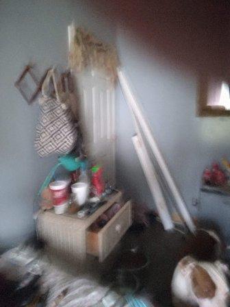 Animal Cruelty Investigators