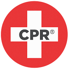 CPR Cell Phone Repair St Petersburg | Android - iPhone - Google - Computer - MacBook - PS5 - Tablets & More