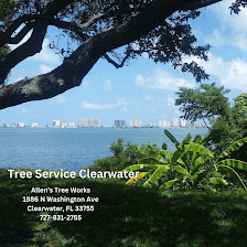 Allen's Tree Works
