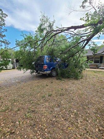 Peppers Tree Service