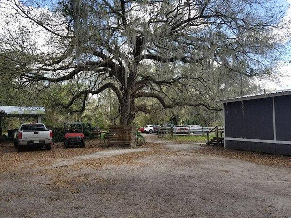R&R Ranch