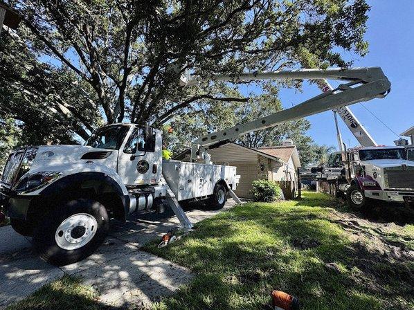 All Your Way Tree Service