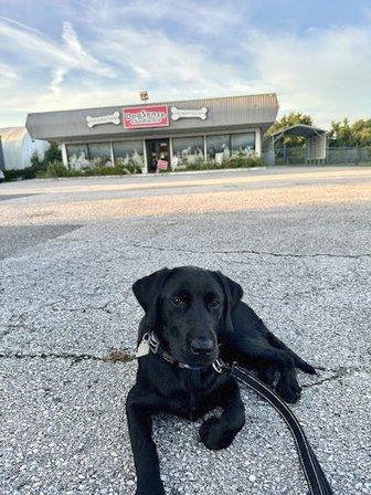 Dogsense Obedience, Inc.