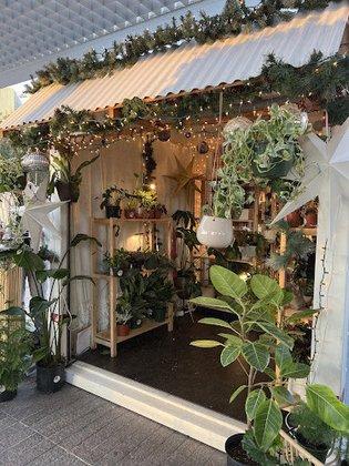 Plante La Vie Garden Shop