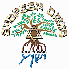 Shoresh David Messianic Synagogue of St Petersburg