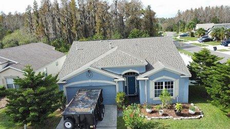 Gecko Roofing Pros