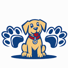 Elite Paws Training