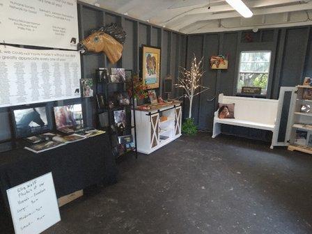 The Wild Horse Rescue Center