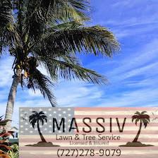 MassiV Tree Service