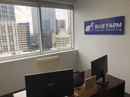 Blue Farm Google Ads and SEO Management
