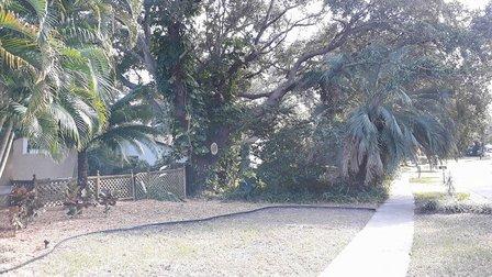 MassiV Tree Service