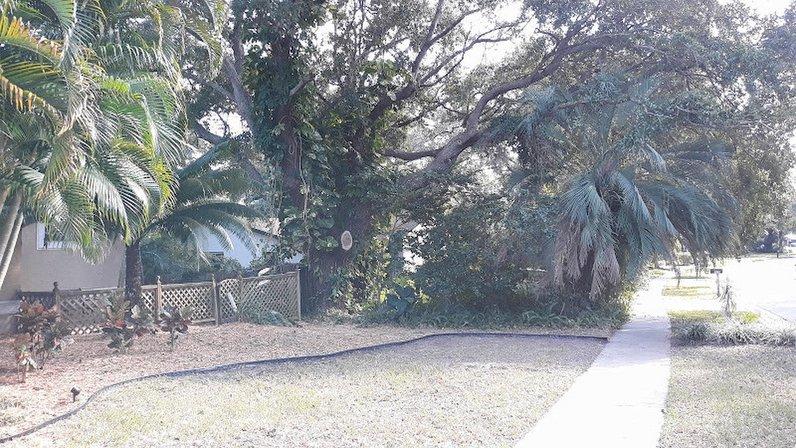 MassiV Tree Service