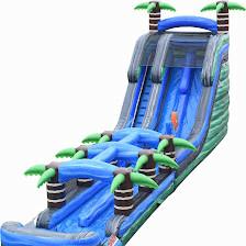 Pinellas Water Slide & Bounce House Rental Service