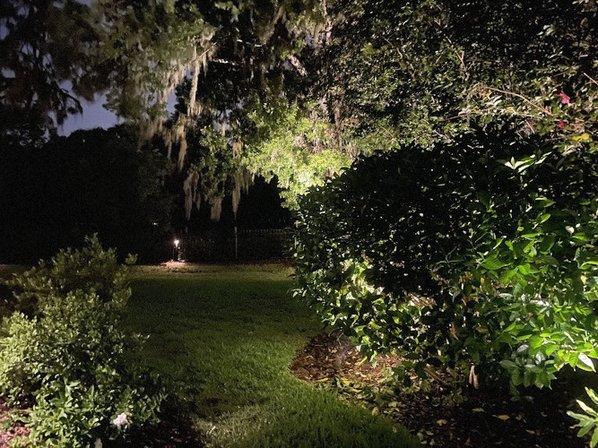 Signature Lighting & Electrical