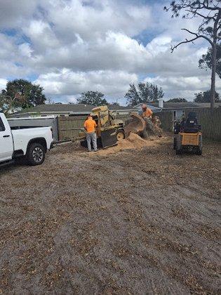 Bionic Beaver Stump Grinding